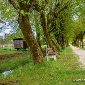 Friederike-Luise-Allee