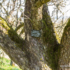 Impressionen_Naturbriefkasten_20210426_04