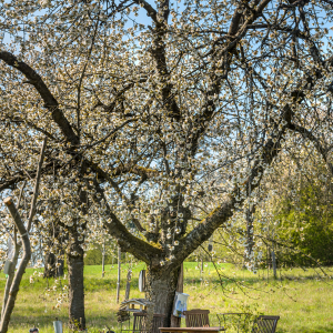 Impressionen_Naturbriefkasten_20210426_07