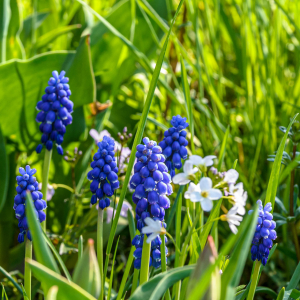 Impressionen_Naturbriefkasten_20210426_10