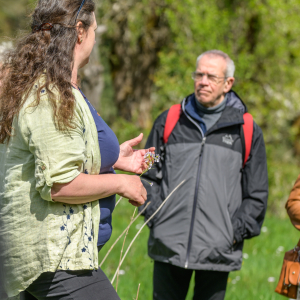 Tag-der-Streuobstwiese_Kappelbuck-2025__06