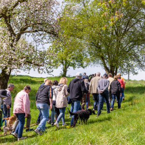 Tag-der-Streuobstwiese_Kappelbuck-2025__09