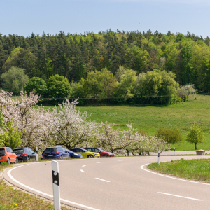 Tag-der-Streuobstwiese_Kappelbuck-2025__21